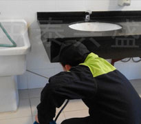 殺蚊子，除蚊子，滅蚊子，世界最大的蚊子